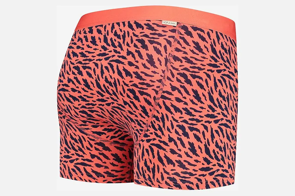 A-dam BOXERBRIEF ANIMALY - Image 3