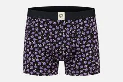 A-dam BOXERBRIEF MUSHY ROOMS