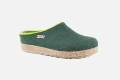 Haflinger TREES FOREST